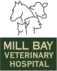 Mill Bay Veterinary Hospital