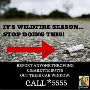 CigsButt Cigarettes cause fires